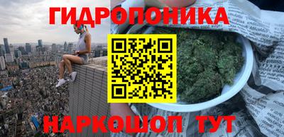 a pvp Абинск