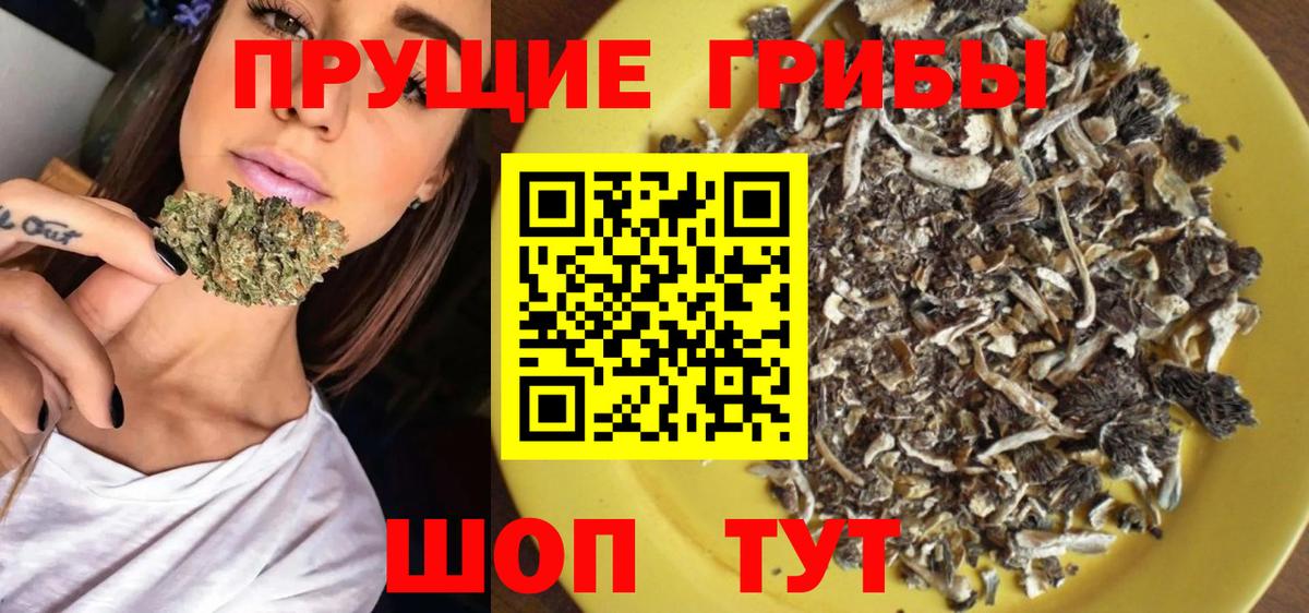 Галлюциногенные грибы Cubensis  Вход с VPN  Апрелевка 